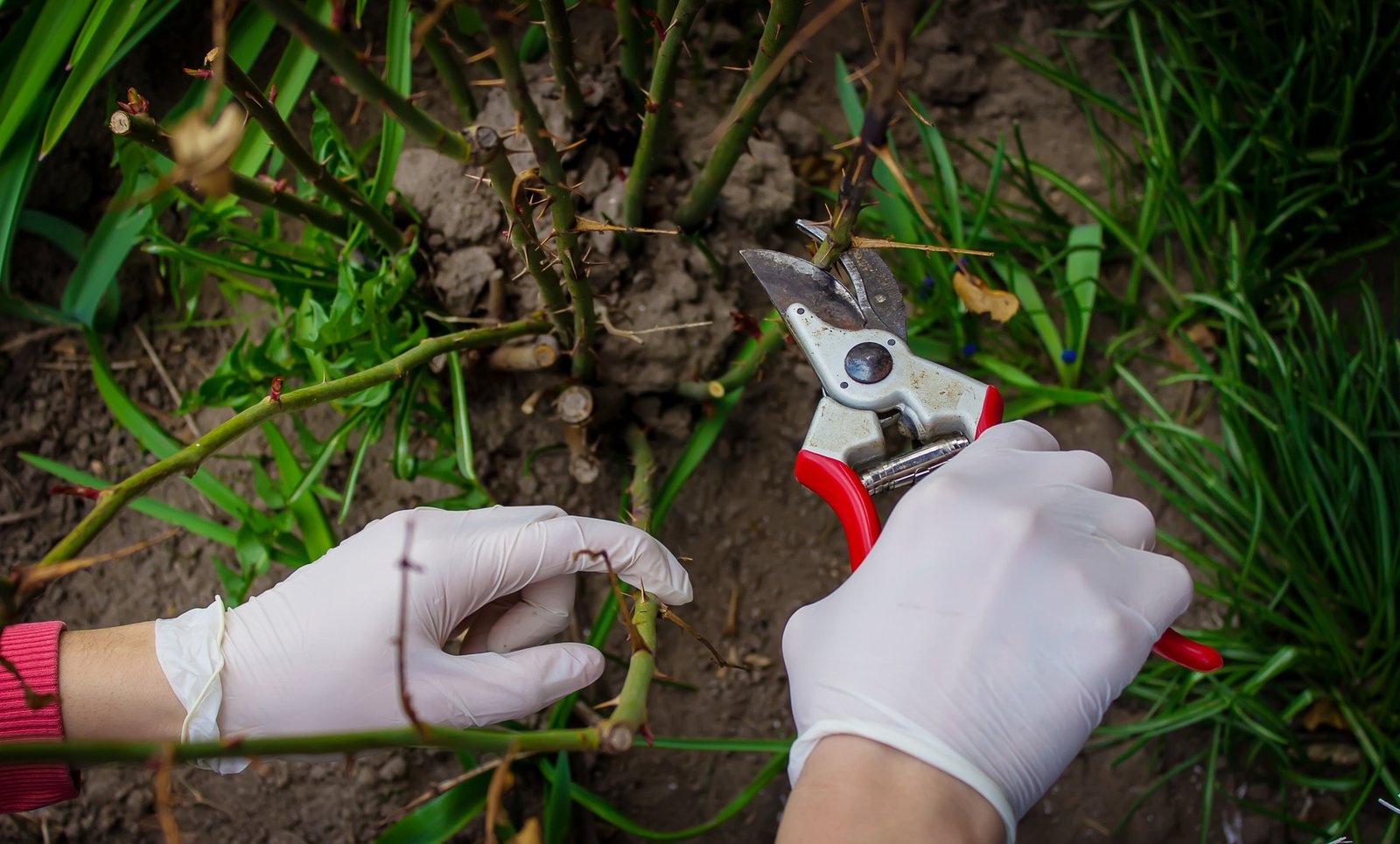 Clean-Up Services